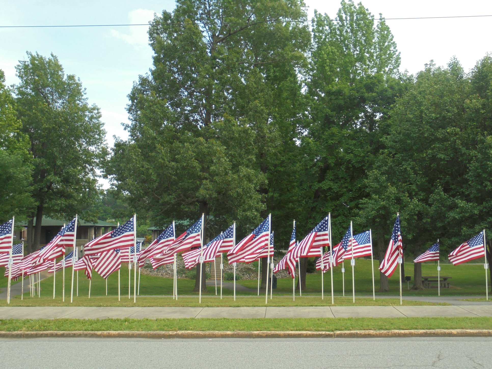 Photo of the park with American flags