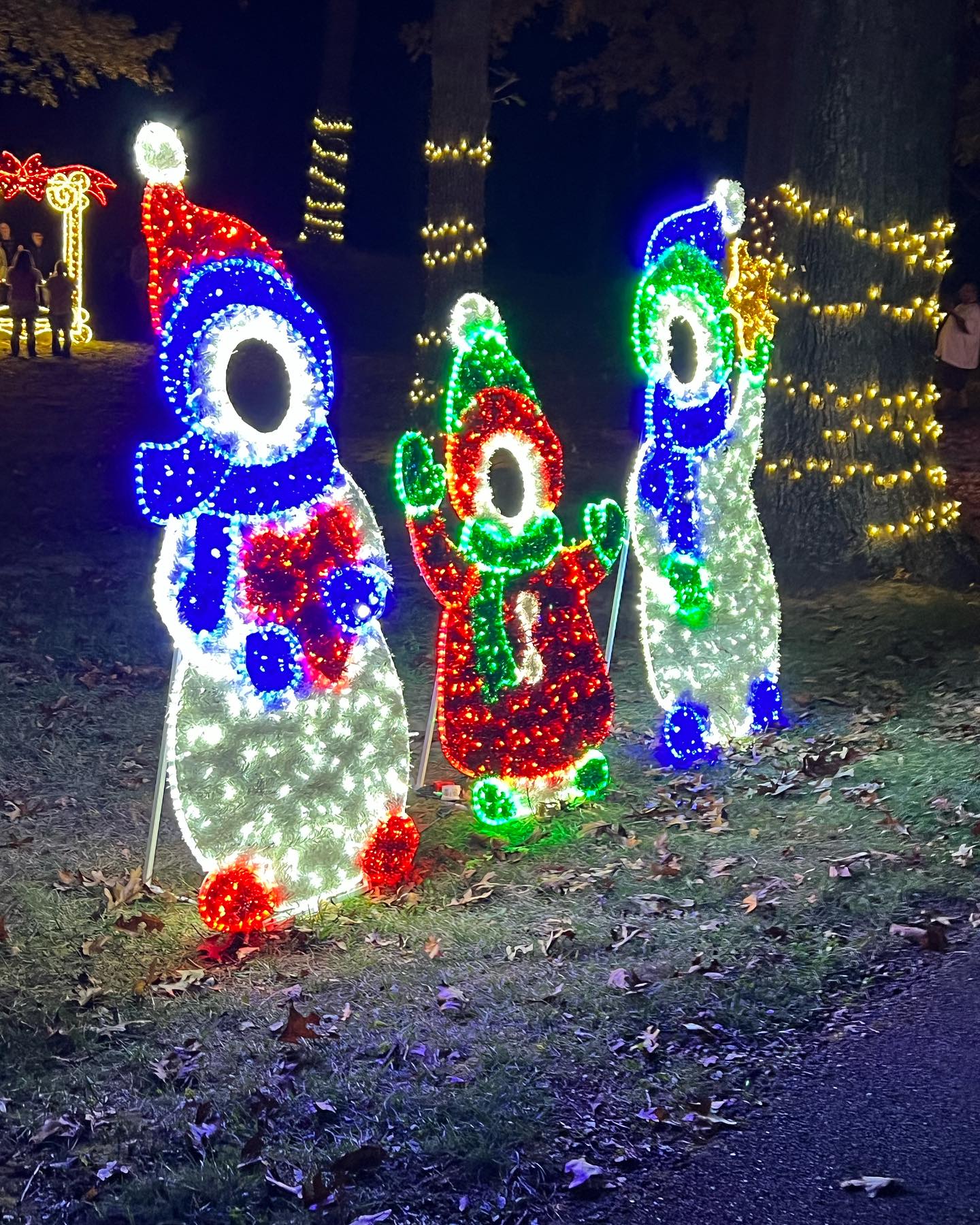 Photo of snowmen at the park