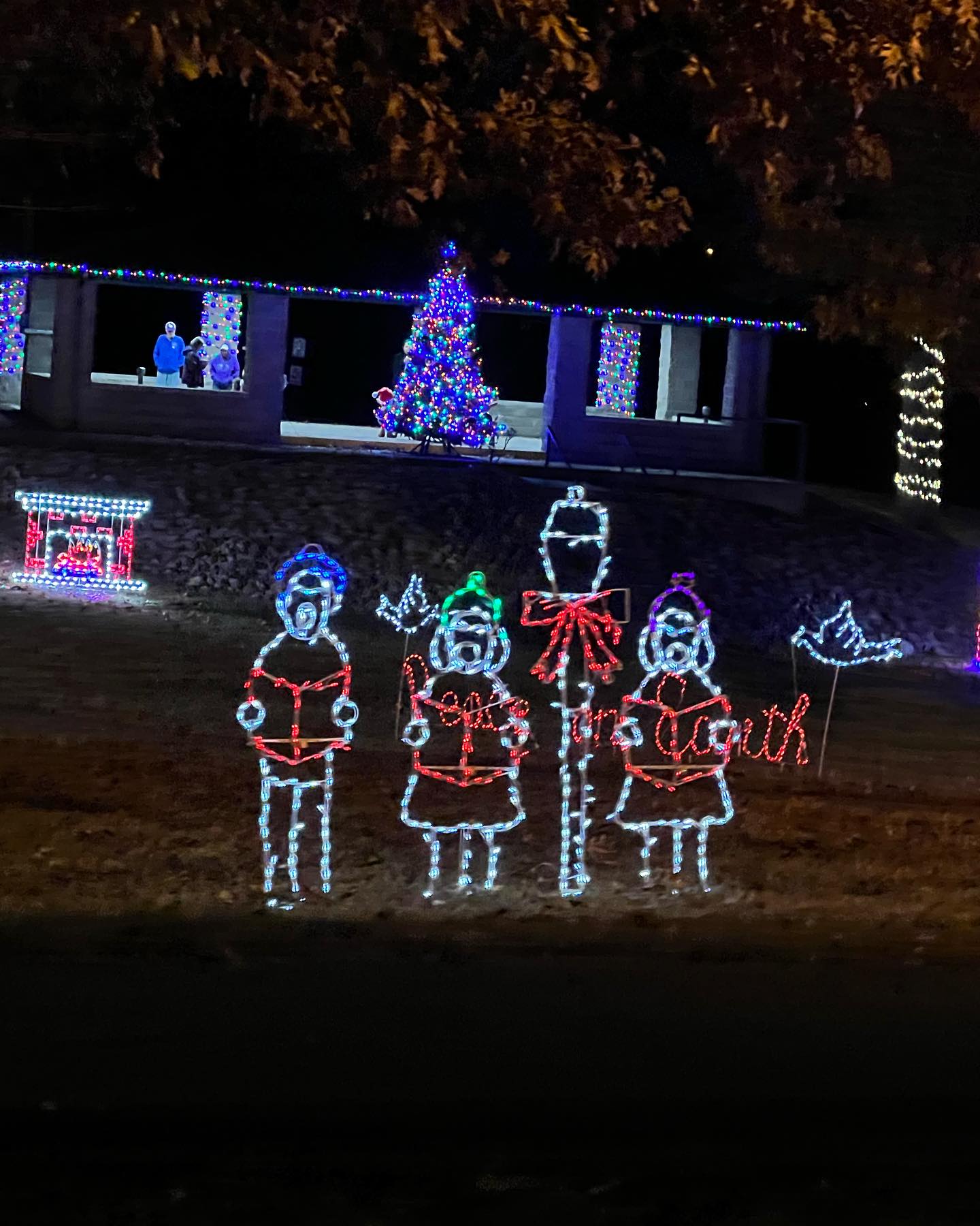 Photo of choir lights during Christmas at the park