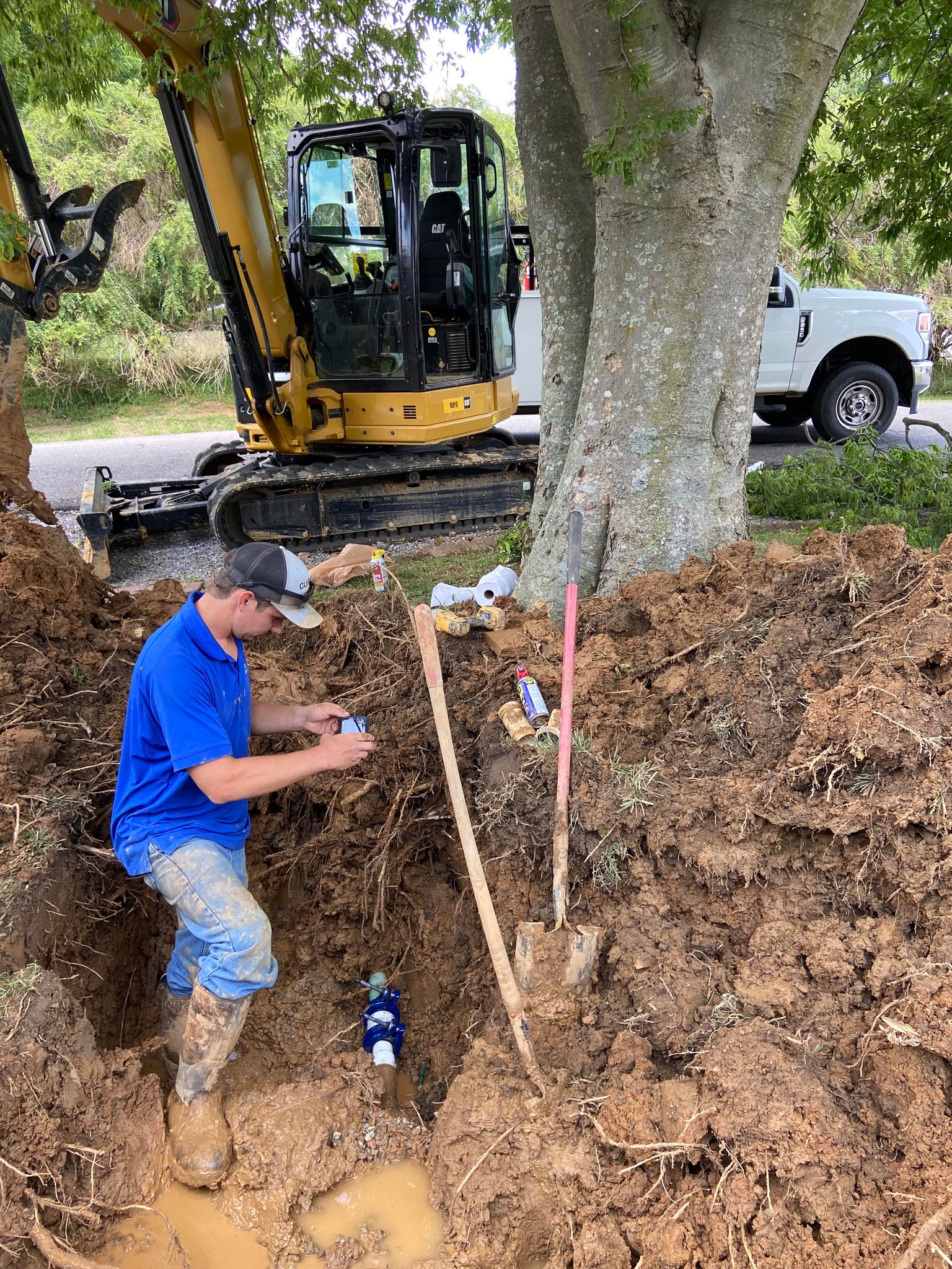 Photo of water worker digging a hole by a tree to work on water pipes